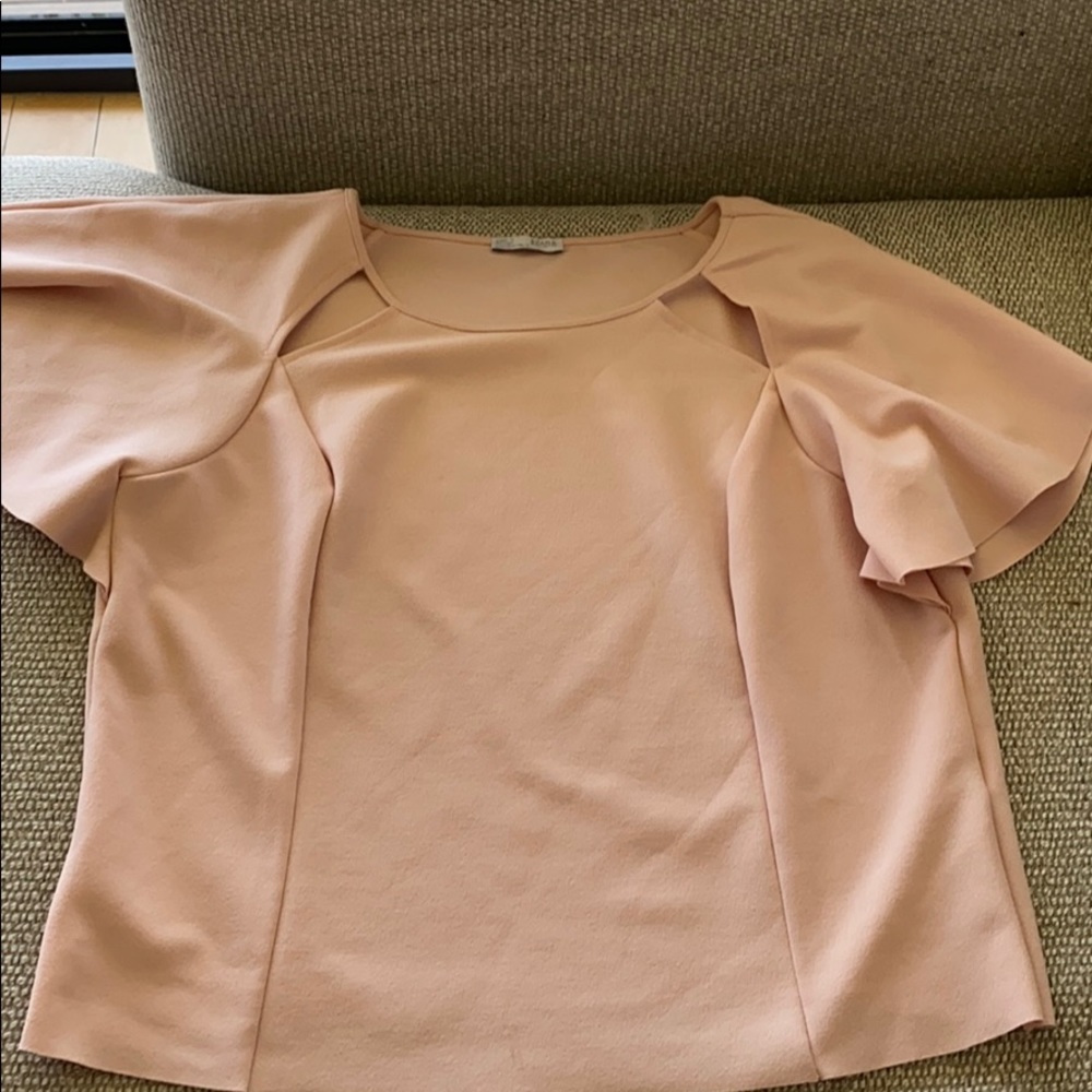 Zara pink blouse
